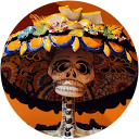 Q Man (Q man) profile picture