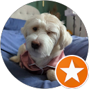 Erika Reyes profile picture